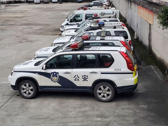报警了可以去警局要出警记录吗