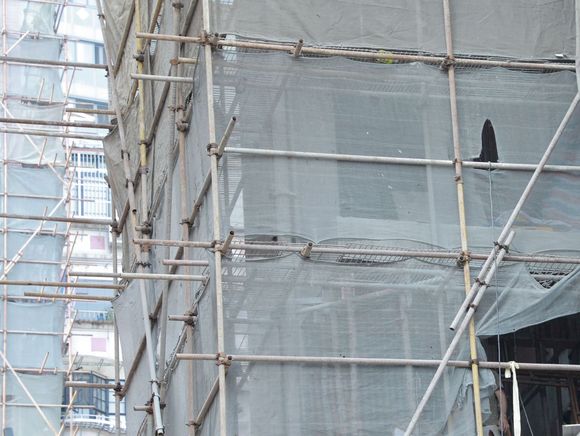 违章搭建属于哪个条款