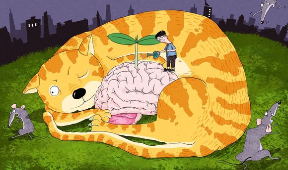 侵犯知识产权承担民事责任