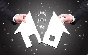 协议离婚财产分割