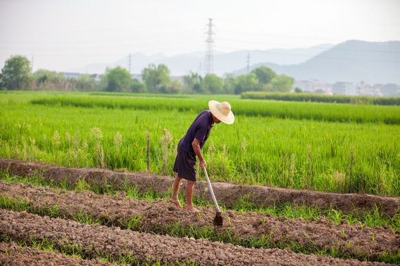 农村征地后失地农民养老险可退吗