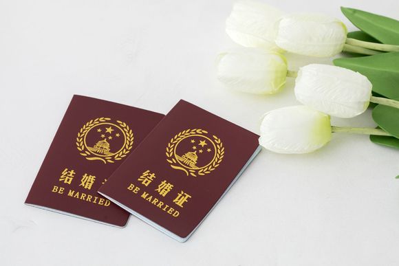 一个人能去民政局拿离婚协议书吗