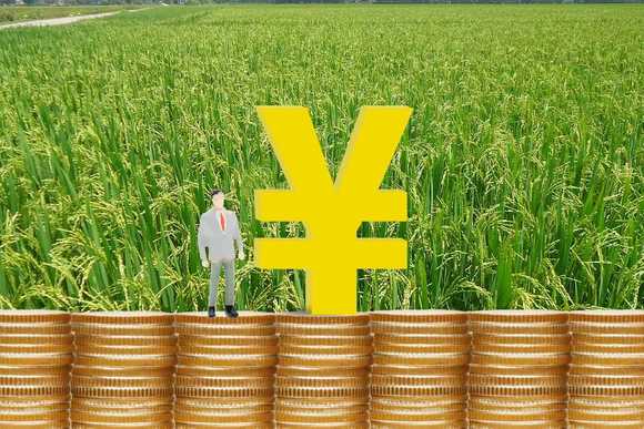 第二轮承包到期第三轮会分地么