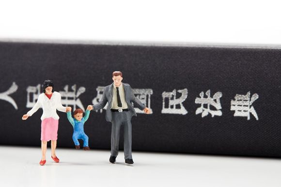 抚养权二审会改判吗